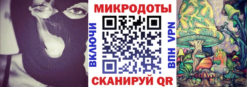 наркошоп Печоры Галлюциногенные грибы Psilocybine cubensis